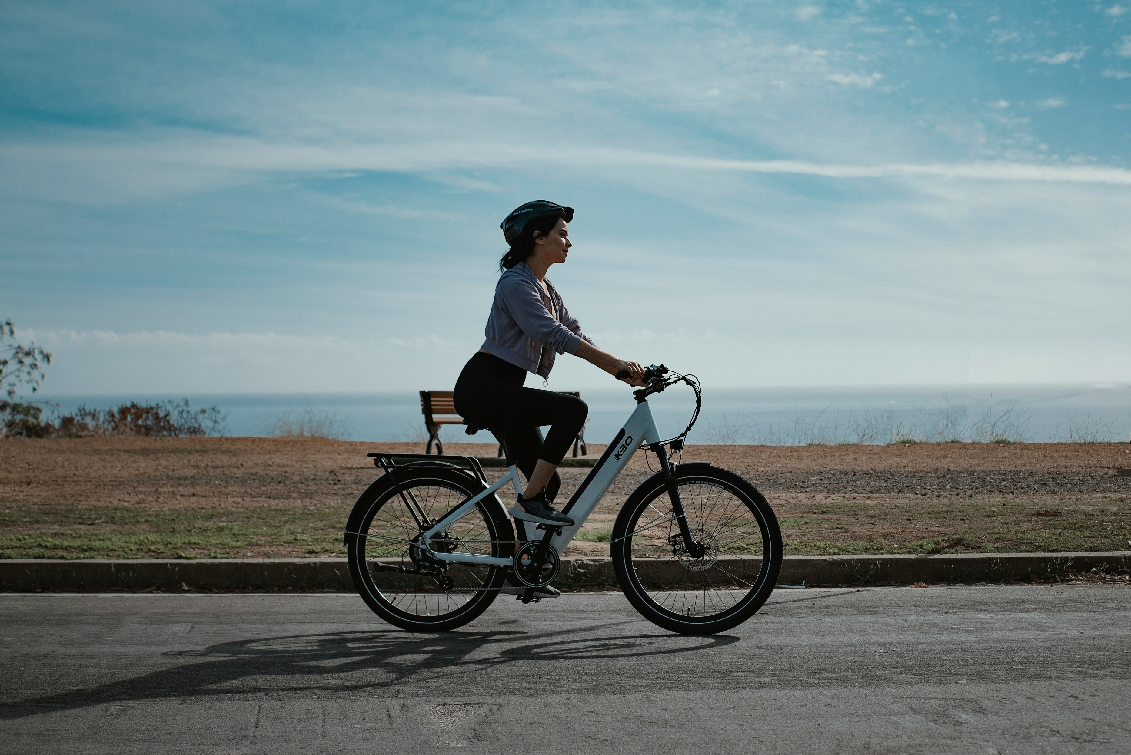 Flagship E-Bike